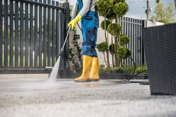 Best Concrete Pressure Washing  in Forestville, MD